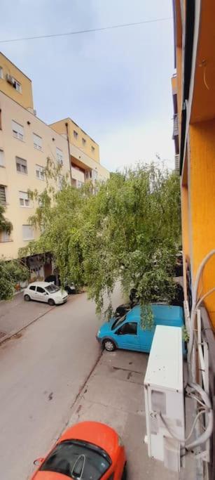 Studio Marko Újvidék Kültér fotó